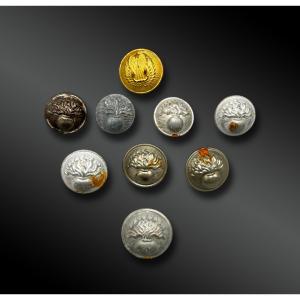 Set Of Eight Gendarmerie Buttons And One Air Force Button - France, 19th Century