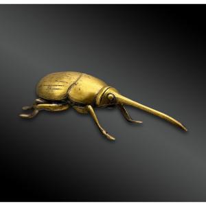 Modern School - Scarab Beetle Called Dynast Hercules 