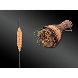 Small Carquois In Braided Fibers With Fleches For Hunting Kayapo Indians Coll. Dutilleux