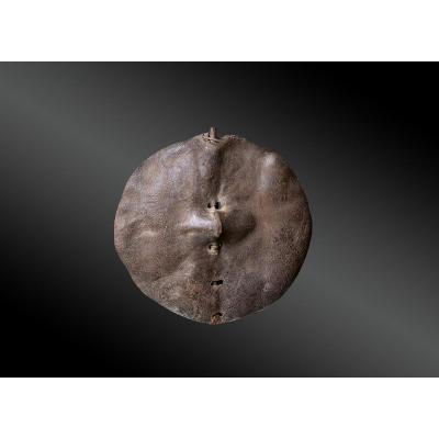 Round Skin Shield Nyaturu Culture, Singida Region, Tanzania