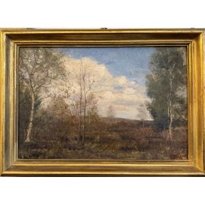 "wooded Landscape Under A Cloudy Sky"
