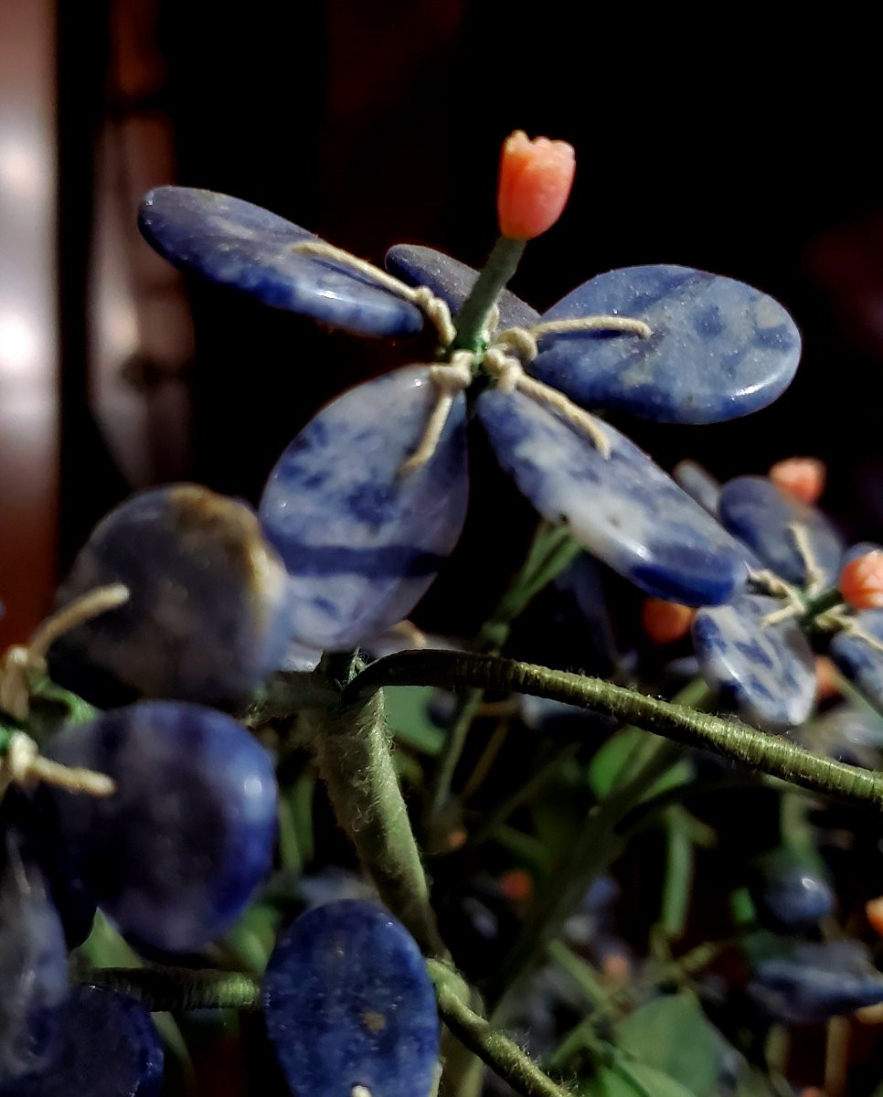 Bonsai in pietre dure :Lapislazzulo ,Corallo ,Marmo -photo-3