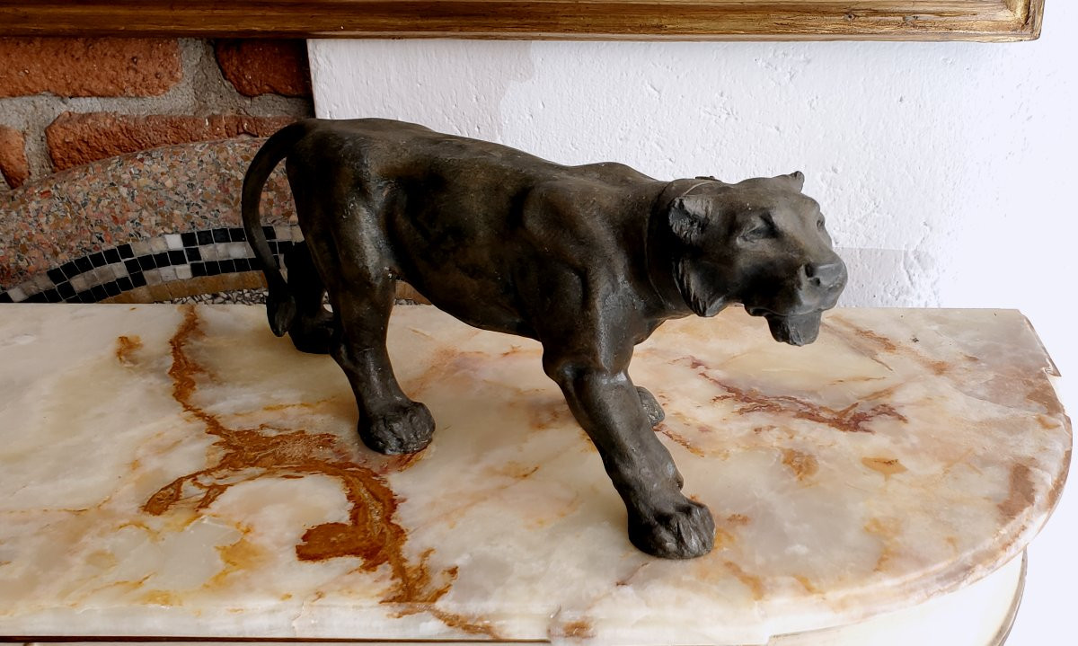 Antico bronzo raffigurante Giaguaro -photo-7