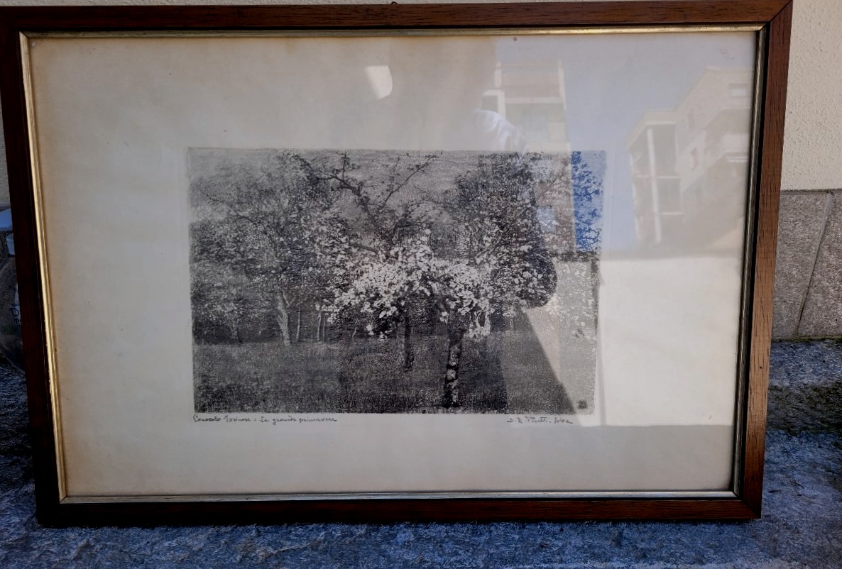  Autore: Domenico Riccardo Peretti Griva ,due fotografie pittorialiste-photo-1