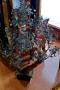 1558310-alb-683b379dbcd5b.jpg