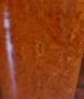 1610086-alb-68b9b1ff86492.jpg