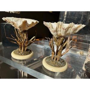 Curious Pair Of Cassolettes In Bronze And Shells, 19th Century Period