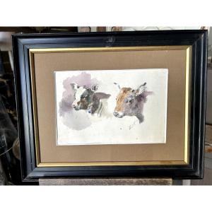 Watercolor Studies Of Calves And Heifer By Odette Bertrand Dit Dett (1855-1972) 