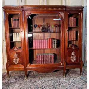 Napoleon III Mahogany, Bronze And Brass Library
