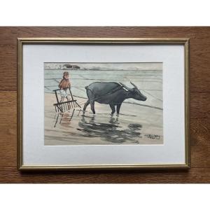 Thien Dang - Indochina - The Buffalo 1936