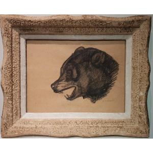 Animal Charcoal Drawing Bear By André Margat.