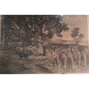 Important Print, Engraving, Etching By Charles Jacque