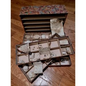 A Box Containing 5 Drawers Filled With Medical Curiosities: Bezoars, Calculi, Etc., 18th Century 