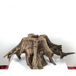 Wabi-sabi Root - Kare San Sui Garden - 20th Century Showa