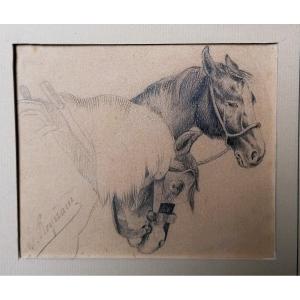 Francois Reynaud 1825-1909 - Drawing - Portrait Of Horses - 19th Century -