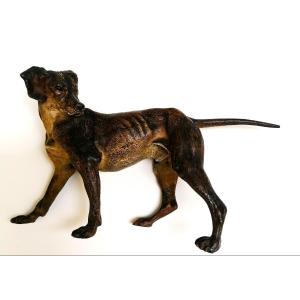 Vienna Bronze - Hunting Dog - Franz Bergmann Workshop? - Circa 1900 - Sculpture -