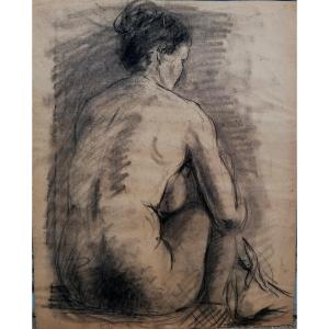 Drawing - Charcoal - Nude Back - Young Woman - 20th Century -