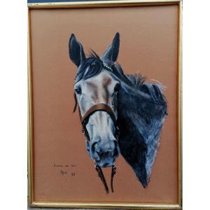 Jacques Arne - Portrait - Horse's Head - Gouache - 20th Century -