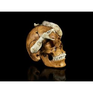 Wood And Bone Vanitas