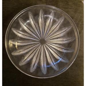 Lalique Cup