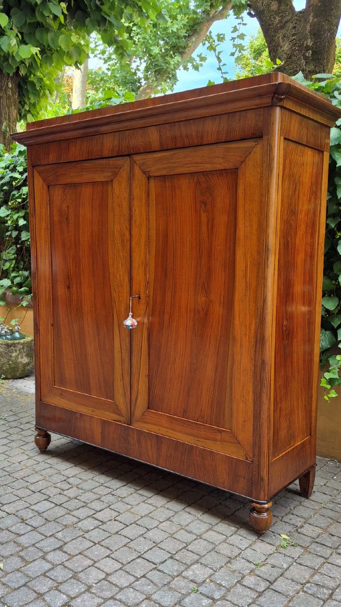 Armadio credenza antico emiliano Carlo X in noce-photo-4