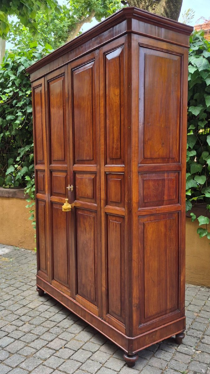 Armadio dispensa antico in ciliegio pannellato-photo-3