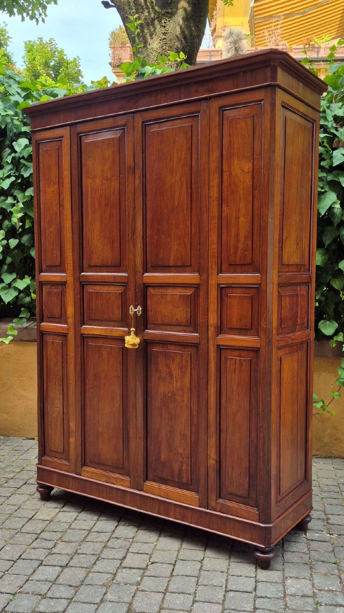 Armadio dispensa antico in ciliegio pannellato