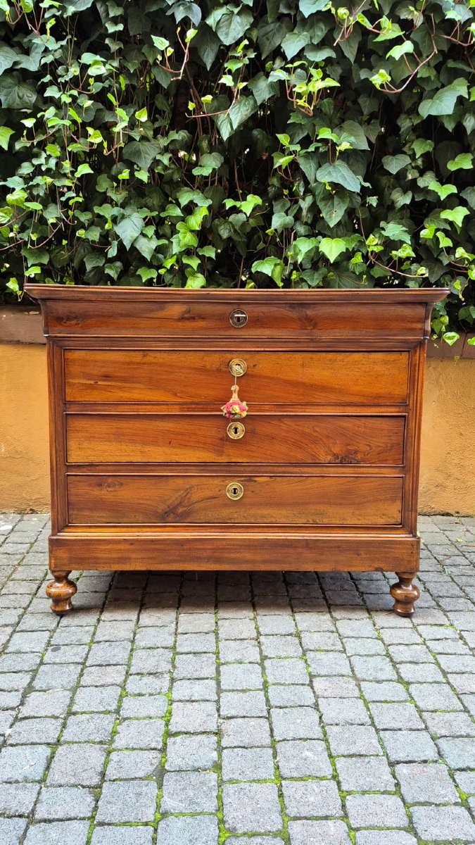 Comò cassettone antico Luigi Filippo emiliano cappuccino-photo-2