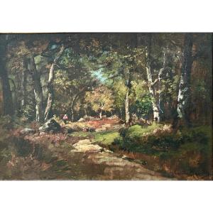 C. Magnus, Oil On Canvas Forest Landscape