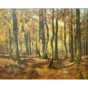 J. Karpathy, Sonian Forest Landscape 