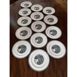 Wedgwood Lugano 14 Porcelain Plates 21 Cm