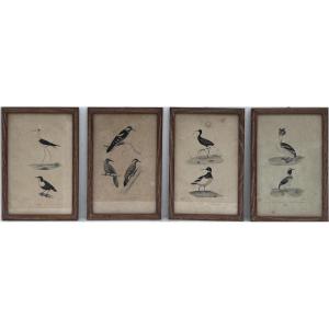 Set Of 4 Colorful Bird-themed Prints