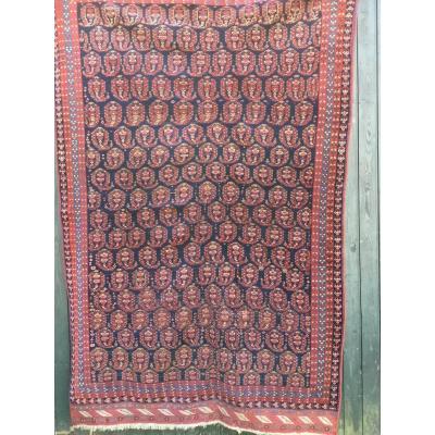 Old Collection Carpet