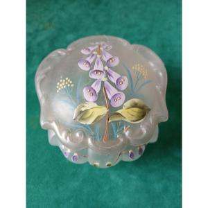 19th Century Enamelled Glass Candy Box