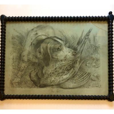 Drawing 19th ( Dog And Faisant)