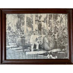 Logging During The Colonial Era