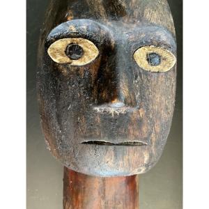 Tao Tao Wood And Shell Head