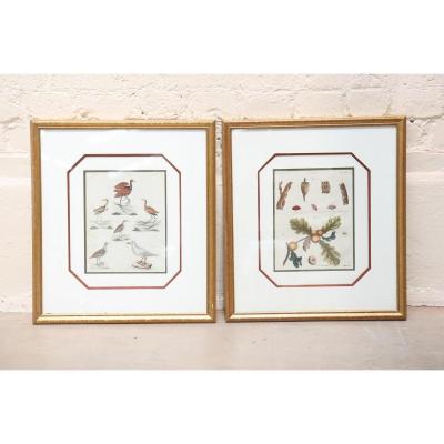 Prints Of Jacob X. Schmuzer