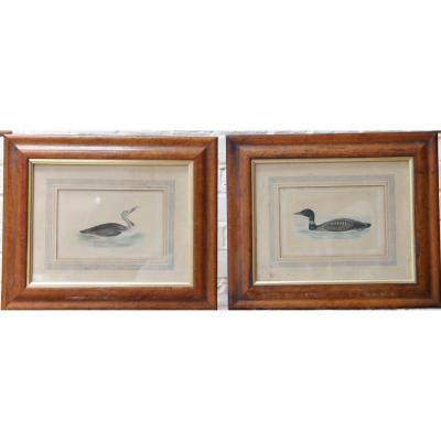 Pair Of English Prints