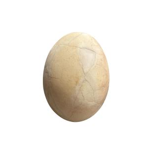 Aepyornis Egg