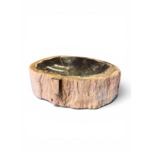 Petrified Wood Ashtray