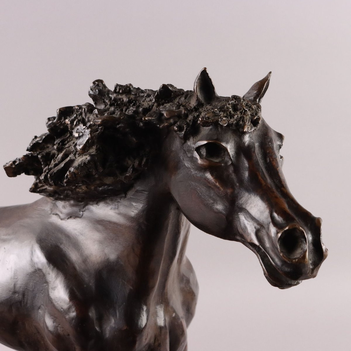 Cavallo in Bronzo Cesare Rabitti Italia 1993-photo-3