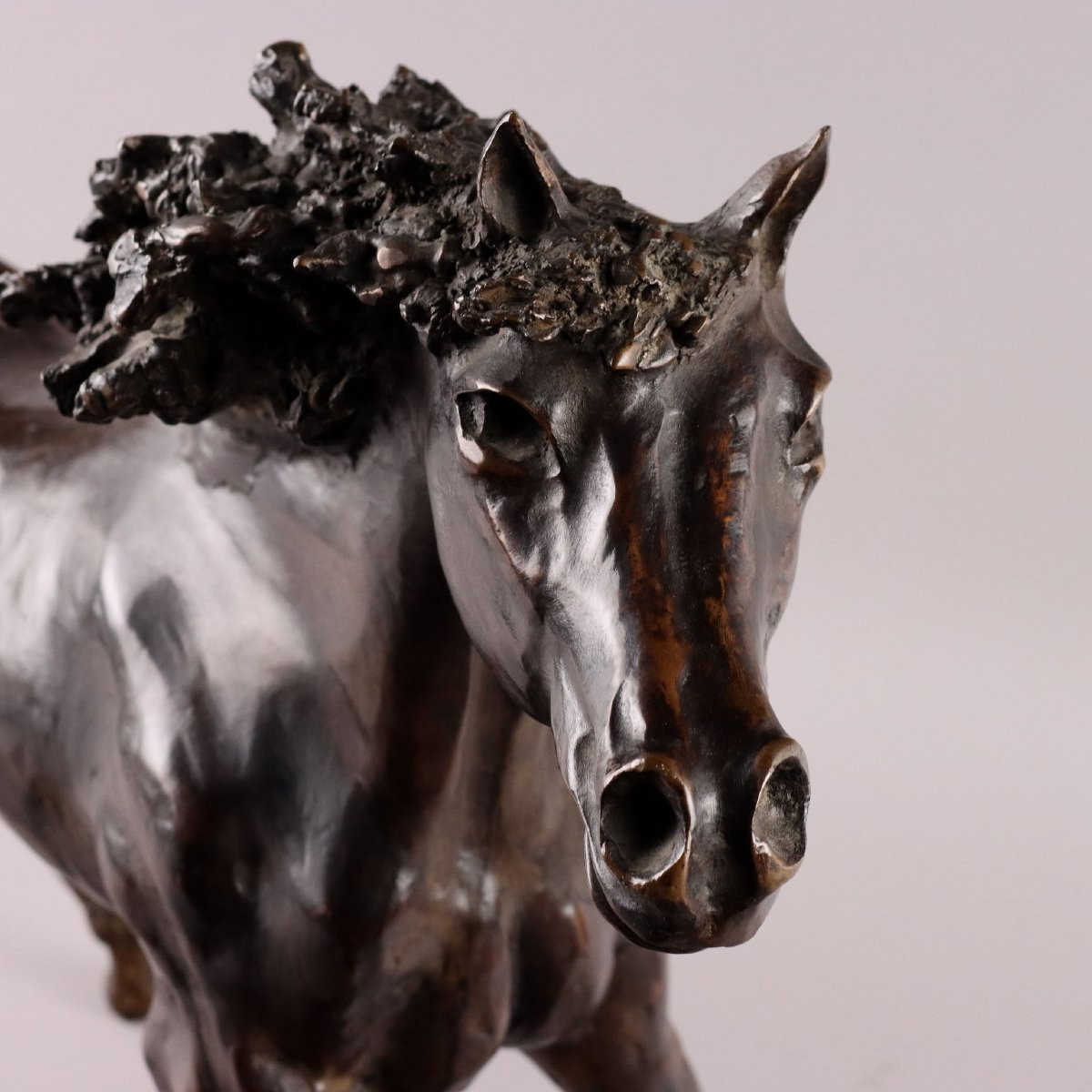 Cavallo in Bronzo Cesare Rabitti Italia 1993-photo-3