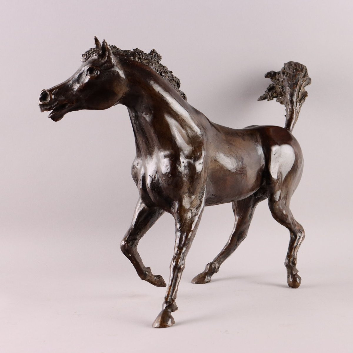 Cavallo in Bronzo Cesare Rabitti Italia 1993-photo-4