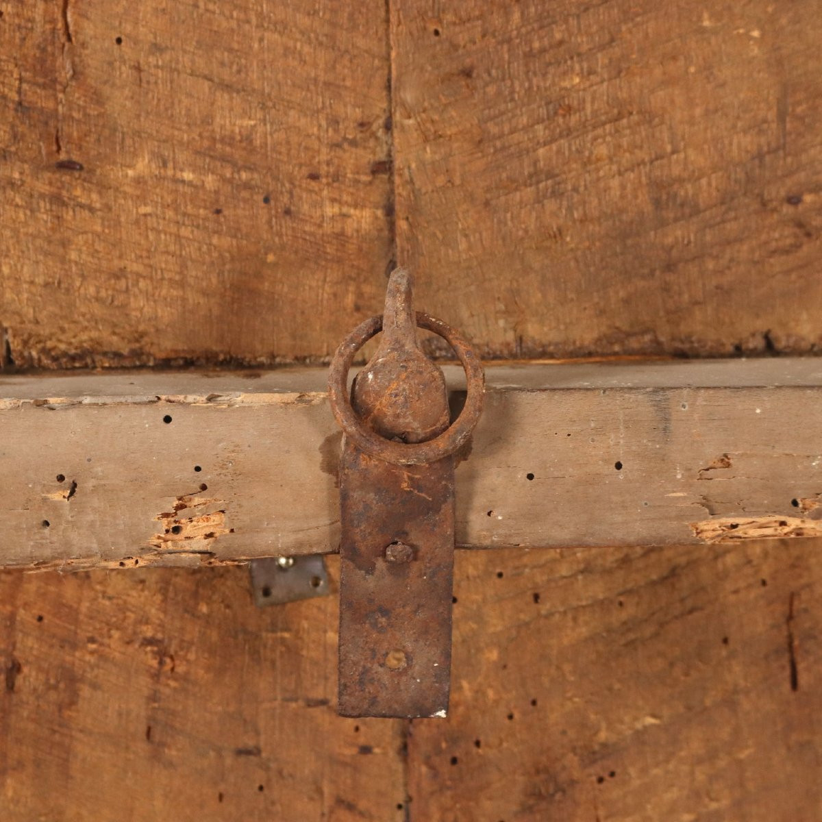 Grande Stemma Barocco Famiglia Pasqui Firenze Inizio XVIII Secolo-photo-6