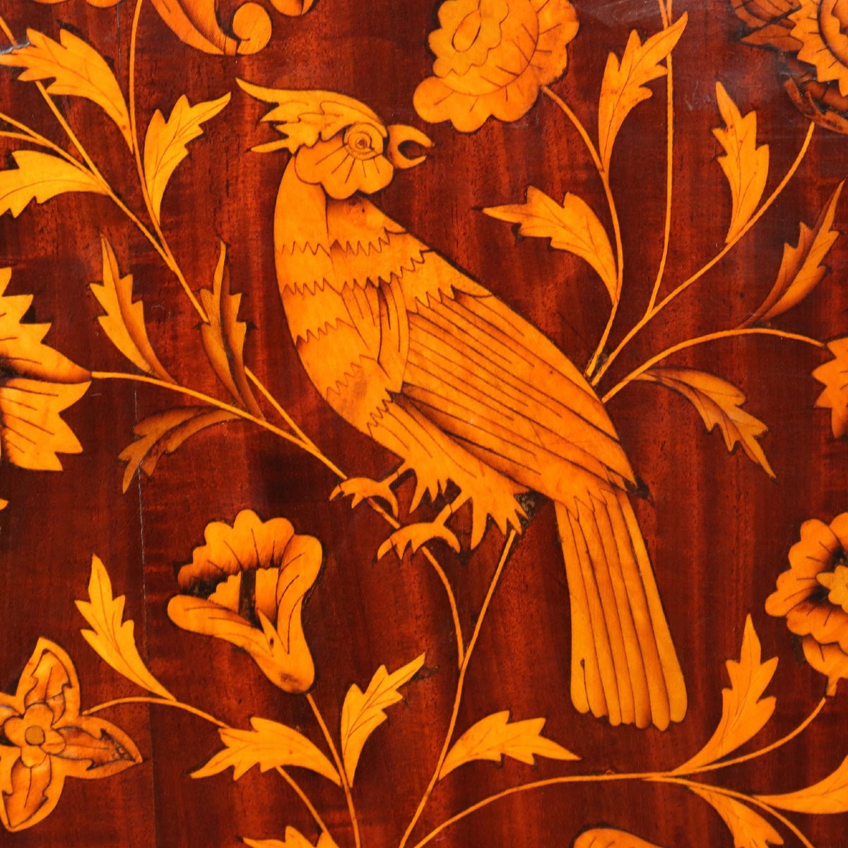 Angoliera Olandese in Mogano Prima Metà XIX Secolo-photo-6