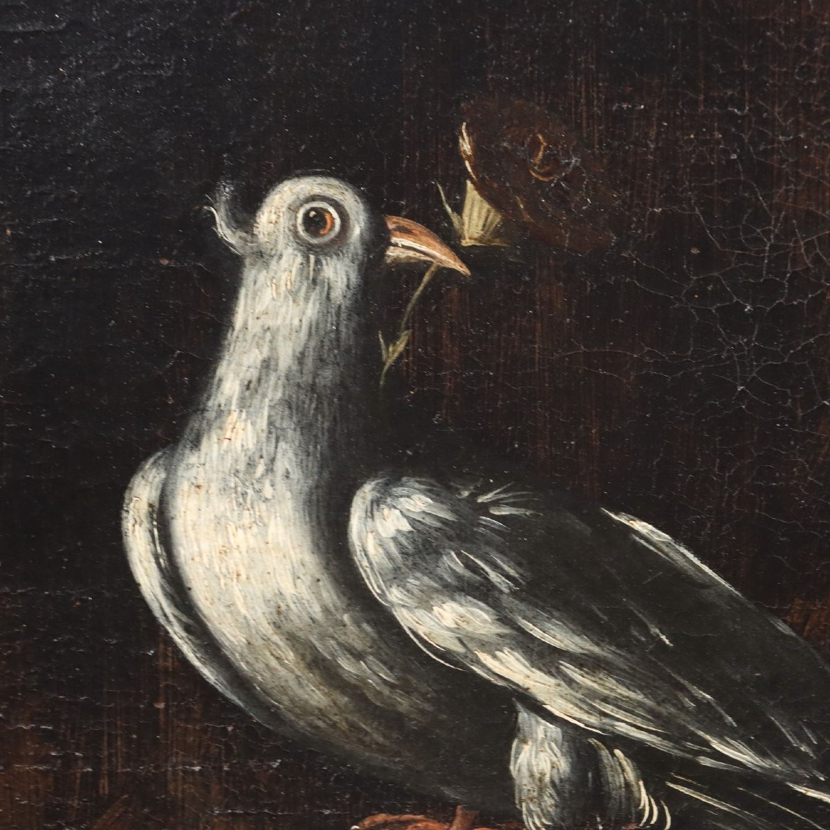 Dipinto Natura morta con Fiori e Uccellini-photo-4