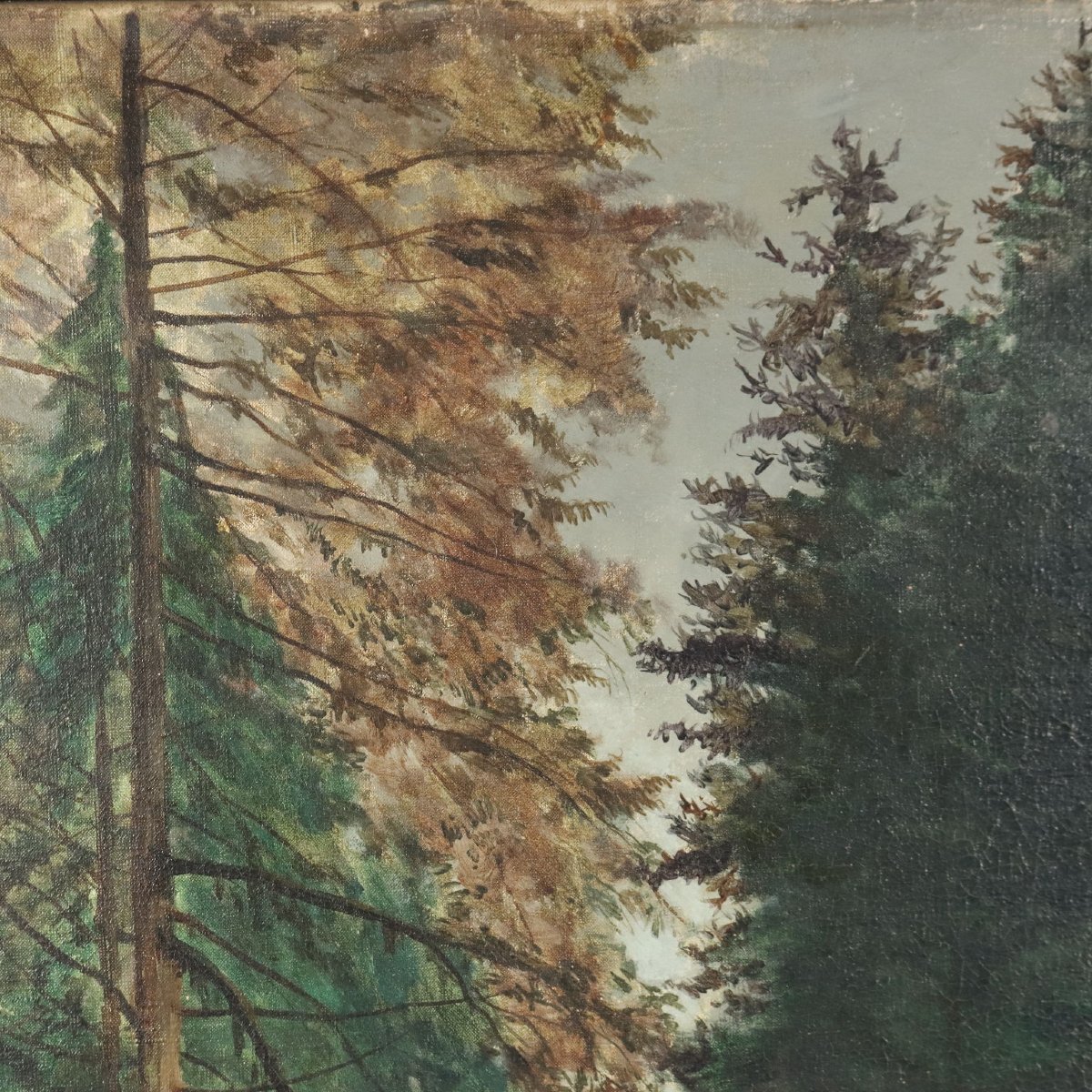 Paesaggio Boschivo di Tristan Lacroix Dipinto Antico Olio su Tela 1883 Originale-photo-3