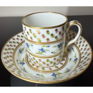 Litron Cup And Saucer, Sèvres Mark In Blue
