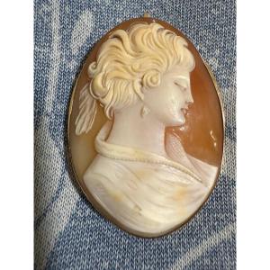 Shell Cameo Brooch Or Pendant, Set In Gold
